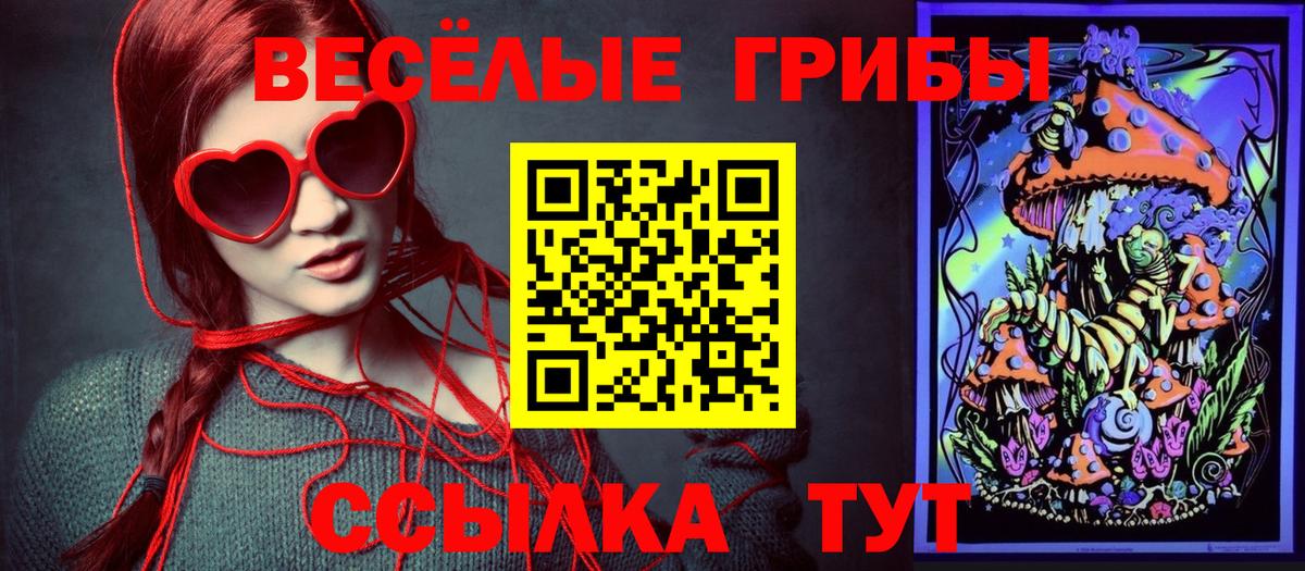 Галлюциногенные грибы мухоморы  наркошоп  Владикавказ  Вход с VPN 